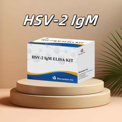 คิตทดสอบ Elisa ความเฉพาะสูง HSV-2 IgM สําหรับผลการทดสอบที่รวดเร็วและแม่นยํา