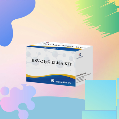 สารทดสอบการวินิจฉัย HSV-2 IgG ที่ใช้ในระดับนานาชาติ 96 การทดสอบ ELISA Assay Kit สําหรับการวินิจฉัยทางการแพทย์