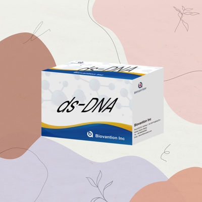 Biovantion ds-DNA Sensitivity ELISA Test Kit IVD reagent สําหรับการใช้ในมนุษย์