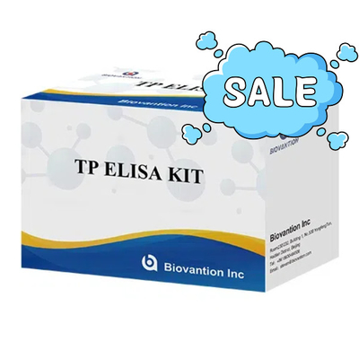 TP (Treponema Pallidum) Ab ELISA Test Kit ไซฟิลิส SYP อินมูโนสอร์บเมนต์ที่เชื่อมโยงกับเอ็นไซม์