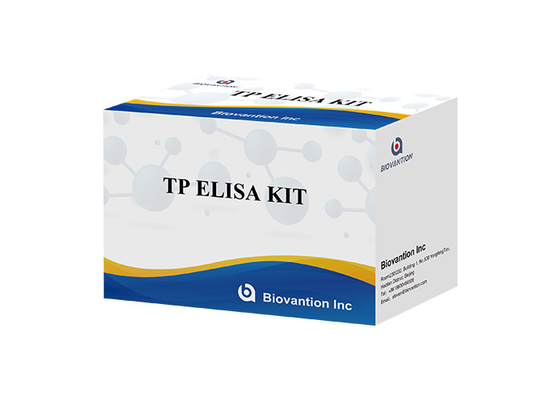 TP (Treponema Pallidum) Ab ELISA Test Kit ไซฟิลิส SYP อินมูโนสอร์บเมนต์ที่เชื่อมโยงกับเอ็นไซม์