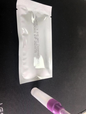 ซัลโมเนลล่า IgG/IgM รวดเร็วทดสอบ Cassette S.Typhoid การใช้ง่าย