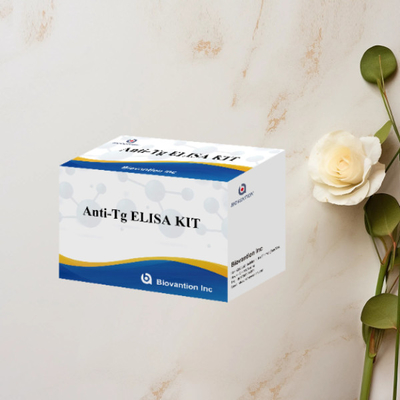 ชุดทดสอบ ELISA แอนติ-Tg Thyroglobulin Ab In Vitro การกําหนดปริมาณ