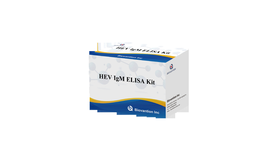 คิททดสอบอานติบอดีห้องปฏิบัติการหรือโรงพยาบาล IgG ต่อไวรัสเฮปติต E HEV Elisa