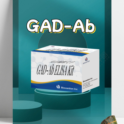 การทดสอบ ELISA GAD แอนติบอดี Glutamic Acid Decarboxylase Reagent การวินิจฉัยทางการแพทย์สําหรับมนุษย์ที่มีการทดสอบ 96