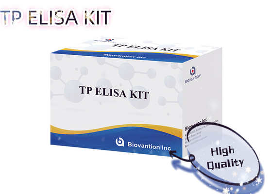 การทดสอบ ELISA ขายร้อน การทดสอบเซฟิลิส แอนติบอดี