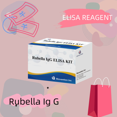 รีเจนต์การทดสอบอิมูโนไนซิม Igg-Rubella Elisa Test Kit สําหรับการตรวจพบโรบีล่า