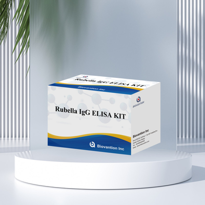 รีเจนต์การทดสอบอิมูโนไนซิม Igg-Rubella Elisa Test Kit สําหรับการตรวจพบโรบีล่า