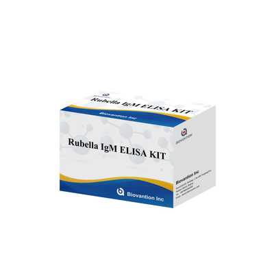 Elisa Test Kit For Rubella IgM เครื่องมือตรวจหาแอนติบอดี IgG สําหรับโรเบลล่าที่ใช้ในมนุษย์