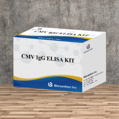 ห้องปฏิบัติการหรือโรงพยาบาล CMV IgG Elisa Test Kit ความแม่นยําสูง