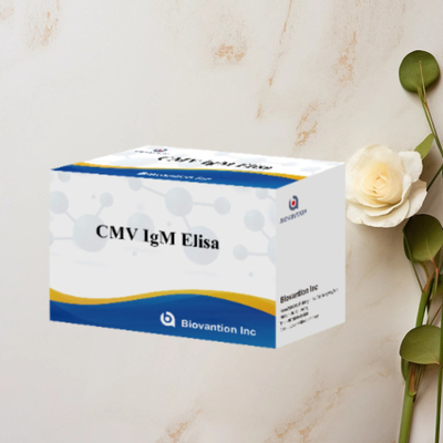 CMV IgM ELISA Kit ความแม่นยําสูง ผู้หญิงตั้งครรภ์ การทดสอบป้องกัน