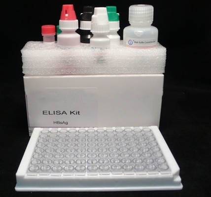 คู่มือทดสอบ Elisa สําหรับการตรวจสอบที่แม่นยําในการวินิจฉัย