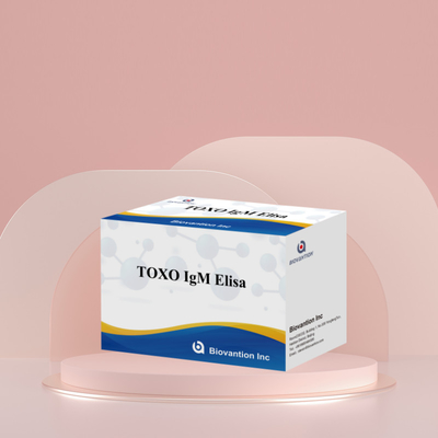 TOXO IgM Elisa Kit สําหรับการใช้ในมนุษย์