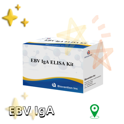 EBV HUMAN ELISA Test Kit 2-8°C ชุดวินิจฉัยความรู้สึกสําหรับ IgA แอนติบอดีต่อ EBV-EA