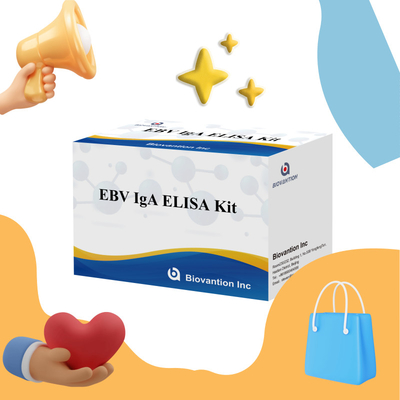 EBV HUMAN ELISA Test Kit 2-8°C ชุดวินิจฉัยความรู้สึกสําหรับ IgA แอนติบอดีต่อ EBV-EA