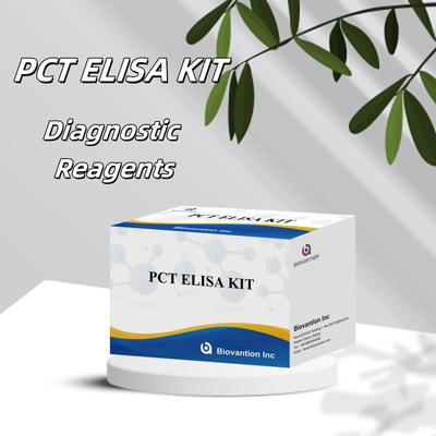 PCT ความแม่นยําสูงสําหรับวิธี ELISA ของตัวทดลองตรวจหามนุษย์ที่มีการทดสอบ 96 สําหรับโรงพยาบาล