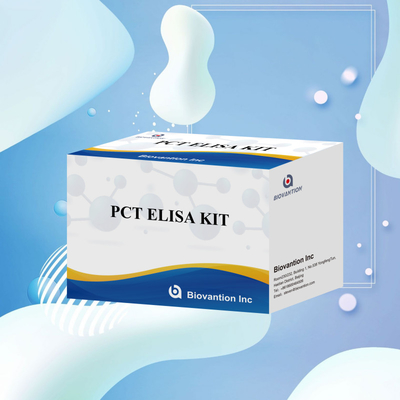 PCT ความแม่นยําสูงสําหรับวิธี ELISA ของตัวทดลองตรวจหามนุษย์ที่มีการทดสอบ 96 สําหรับโรงพยาบาล
