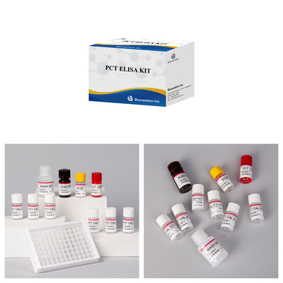 PCT ความแม่นยําสูงสําหรับวิธี ELISA ของตัวทดลองตรวจหามนุษย์ที่มีการทดสอบ 96 สําหรับโรงพยาบาล
