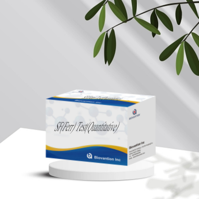 IVD Reagent SF Ferr ELISA Test Kit อุปกรณ์การแพทย์เพื่อการตรวจหาปริมาณของ Ferritin