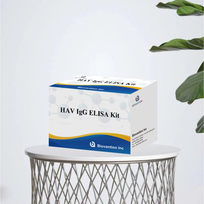 HAV IgG ELISA Test Reagent Kit ความรู้สึก 95%