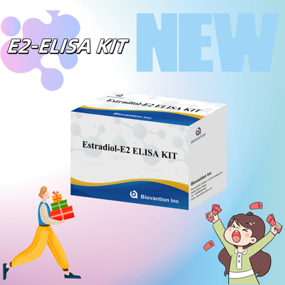 เอสตราดิโอล ELISA Kit E2 In Vitro Detection Medical Reagents สําหรับการใช้ในมนุษย์