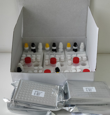 ห้องปฏิบัติการหรือโรงพยาบาล H.Pylori IgG High Accuracy Elisa Test Kit