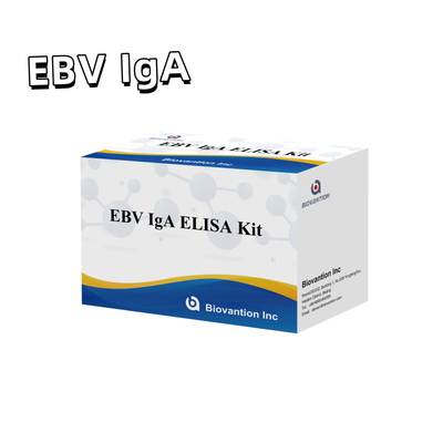 HUMAN EBV-EA DIAGNOSITC ELISA Test Kit 2-8°C ชุดความรู้สึกสําหรับ IgA แอนติบอดีต่อ