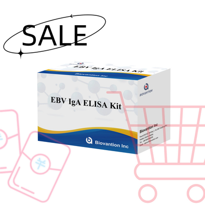 HUMAN EBV-EA DIAGNOSITC ELISA Test Kit 2-8°C ชุดความรู้สึกสําหรับ IgA แอนติบอดีต่อ