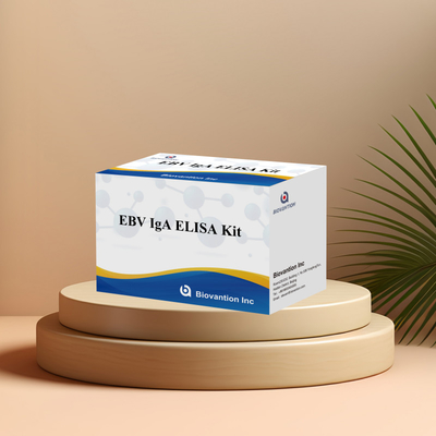 HUMAN EBV-EA DIAGNOSITC ELISA Test Kit 2-8°C ชุดความรู้สึกสําหรับ IgA แอนติบอดีต่อ