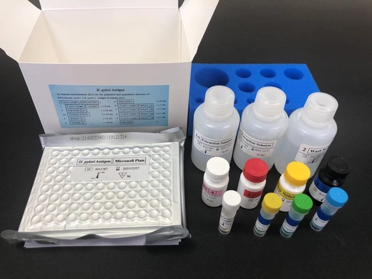 Helicobacter HP แอนติบอดี IgG ELISA Kit H.Pylori IgG
