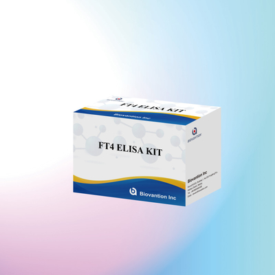 ชุดทดสอบ FT4 Elisa ที่แม่นยําสําหรับการวิเคราะห์ปริมาณและคุณภาพ