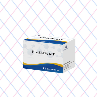 ชุดทดสอบ FT4 Elisa ที่แม่นยําสําหรับการวิเคราะห์ปริมาณและคุณภาพ
