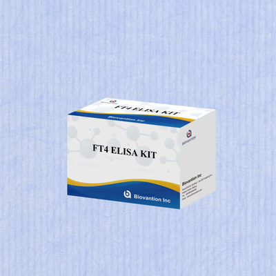 ชุดทดสอบ FT4 Elisa ที่แม่นยําสําหรับการวิเคราะห์ปริมาณและคุณภาพ