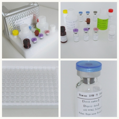ชุดทดสอบโรคสะเก็ดเงิน IGRA Elisa สําหรับการวิจัยและการวินิจฉัยเฉพาะเจาะจง