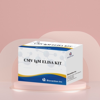 Biovantion High-Sensitivity CMV ELISA Reagent Kit สําหรับการตรวจหาแอนติบอดีต่อไวรัสไซโตเมกัลโอไวรัส
