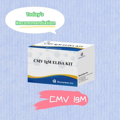 Biovantion High-Sensitivity CMV ELISA Reagent Kit สําหรับการตรวจหาแอนติบอดีต่อไวรัสไซโตเมกัลโอไวรัส