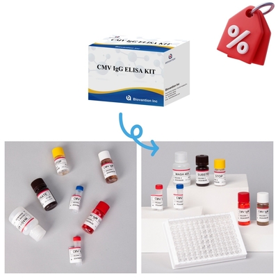 Biovantion High-Sensitivity CMV ELISA Reagent Kit สําหรับการตรวจหาแอนติบอดีต่อไวรัสไซโตเมกัลโอไวรัส