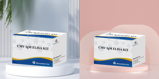 Biovantion High-Sensitivity CMV ELISA Reagent Kit สําหรับการตรวจหาแอนติบอดีต่อไวรัสไซโตเมกัลโอไวรัส