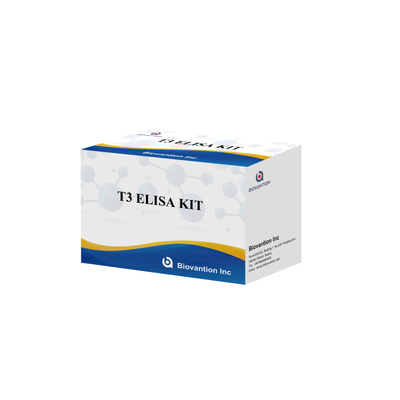 ชุดทดสอบ T3 Elisa ที่มีความเฉพาะสูง เพื่อตรวจพบสารเป้าหมายอย่างแม่นยํา