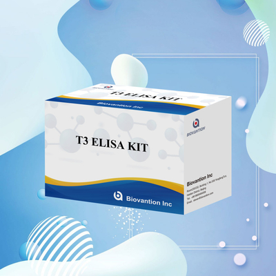ชุดทดสอบ T3 Elisa ที่มีความเฉพาะสูง เพื่อตรวจพบสารเป้าหมายอย่างแม่นยํา