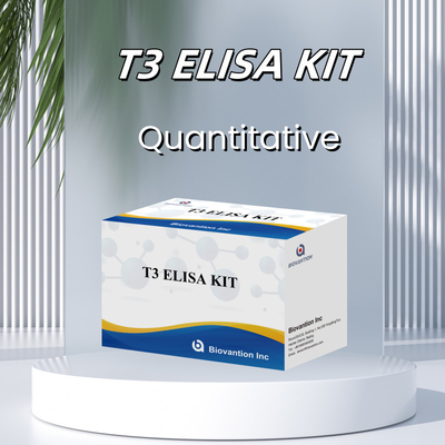ชุดทดสอบ T3 Elisa ที่มีความเฉพาะสูง เพื่อตรวจพบสารเป้าหมายอย่างแม่นยํา