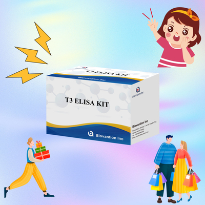 ชุดทดสอบ T3 Elisa ที่มีความเฉพาะสูง เพื่อตรวจพบสารเป้าหมายอย่างแม่นยํา