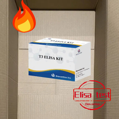 ชุดตรวจ T3 Elisa คลินิกโรงพยาบาลห้องปฏิบัติการ T3 Triiodothyronine