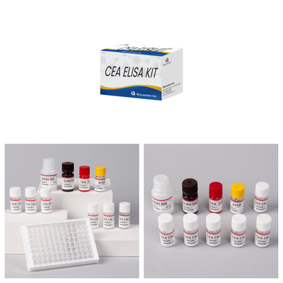 ชุดทดสอบ CEA Quantitative Elisa ที่แม่นยํา สําหรับการวิเคราะห์ปริมาณและคุณภาพของเป้าหมาย