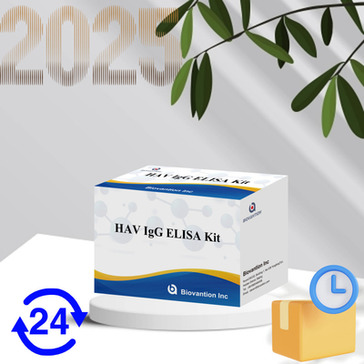 ความรู้สึกสูง HAV IgG ELISA Kit การตรวจหาไวรัสเชื้อตับอักเสบ A ที่แม่นยํา มีใบรับรอง CE ที่น่าเชื่อถือ สําหรับการใช้ในทางคลินิกและการวิจัย