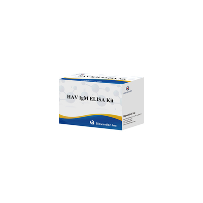 HAV IgM ELISA Kit ความรู้สึกสูง โรคตับอักเสบ A การตรวจพบไวรัส การตรวจสอบการวินิจฉัยที่แม่นยําที่น่าเชื่อถือสําหรับห้องปฏิบัติการคลินิก