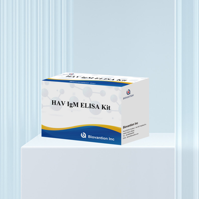 HAV IgM ELISA Kit ความรู้สึกสูง โรคตับอักเสบ A การตรวจพบไวรัส การตรวจสอบการวินิจฉัยที่แม่นยําที่น่าเชื่อถือสําหรับห้องปฏิบัติการคลินิก