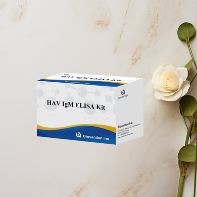 HAV IgM ELISA Kit ความรู้สึกสูง โรคตับอักเสบ A การตรวจพบไวรัส การตรวจสอบการวินิจฉัยที่แม่นยําที่น่าเชื่อถือสําหรับห้องปฏิบัติการคลินิก