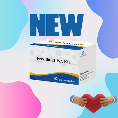 Biovantion ความรู้สึกสูง Ferritin Elisa Test Kit การตรวจหาปริมาณสําหรับการวินิจฉัยและการวิจัย