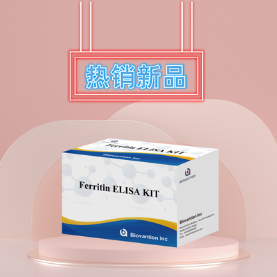 Biovantion ความรู้สึกสูง Ferritin Elisa Test Kit การตรวจหาปริมาณสําหรับการวินิจฉัยและการวิจัย